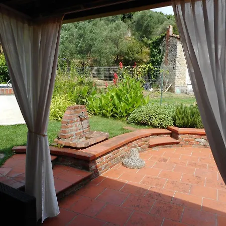 Amaryllis Romito Magra