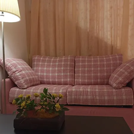 Amaryllis Romito Magra