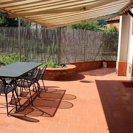 Amaryllis Romito Magra