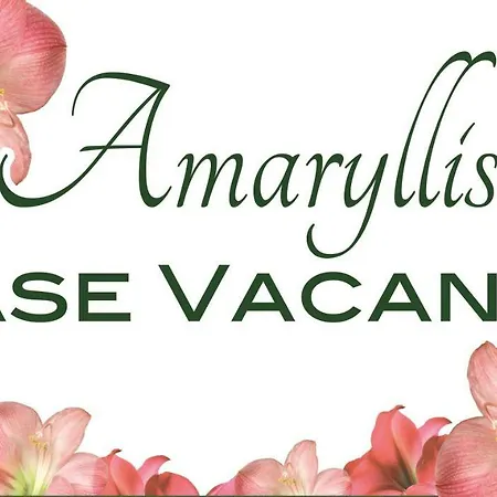 Hébergement de vacances Amaryllis
