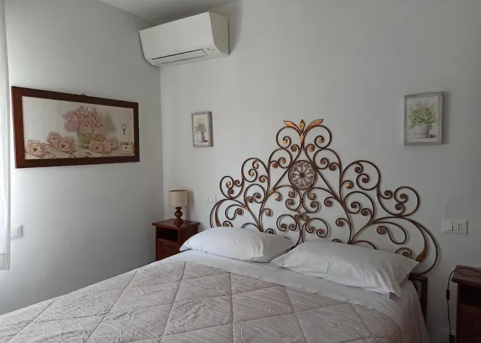 Amaryllis Romito Magra