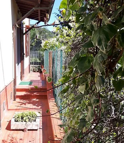 Amaryllis Feriehus *