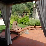 Amaryllis Romito Magra