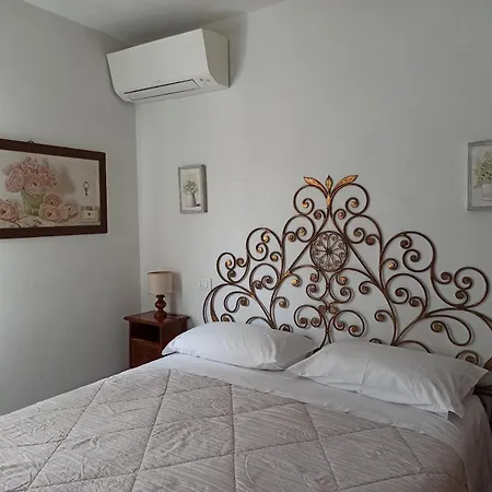 Amaryllis Romito Magra