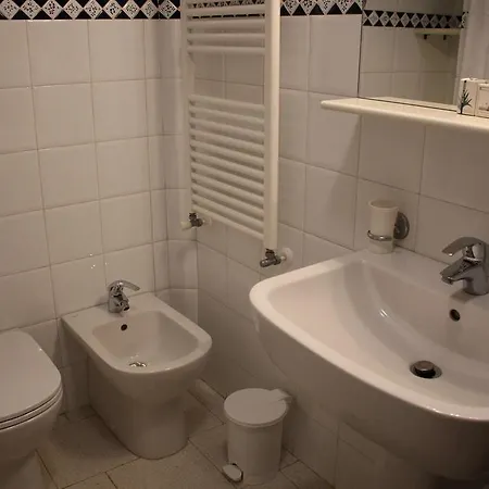 Amaryllis Romito Magra