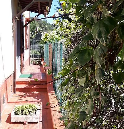 Amaryllis Σπίτι διακοπών *